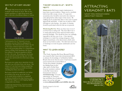 The BaT house Is up - Vermont Fish and Wildlife