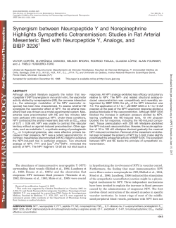 Synergism between Neuropeptide Y and Norepinephrine Highlights