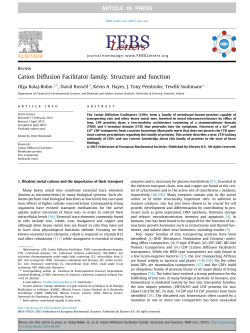Cation Diffusion Facilitator family