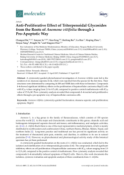 Anti-Proliferative Effect of Triterpenoidal Glycosides from the Roots