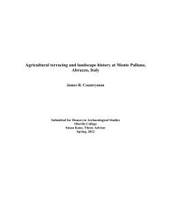 Agricultural terracing and landscape history at Monte Pallano