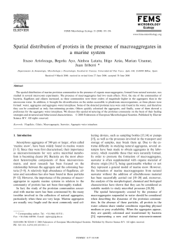 Spatial distribution of protists in the presence of macroaggregates in