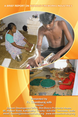 A Brief Report on Sivakasi Fireworks Industries