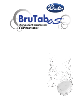 BruTab 6S