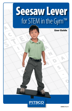 Seesaw Lever - Rackcdn.com