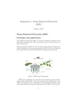 Assignment 1: Steam Enhanced Extraction (SEE)
