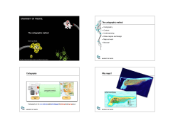 The cartographic method The cartographic method Cartography