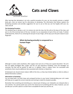 Cats and Claws - sfhumanesociety.org