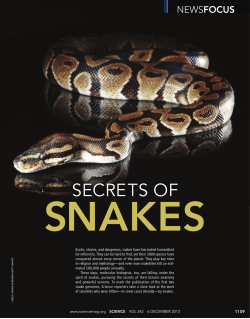 secrets of - NUS Department of Biological Sciences