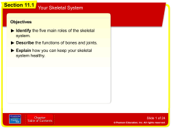 Chapter 11 Section 1