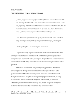 The Promise of Public Service Work