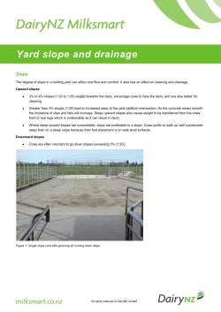 Yard slope and drainage