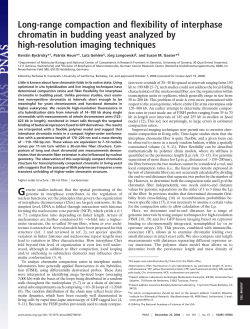 Long-range compaction and flexibility of interphase chromatin in