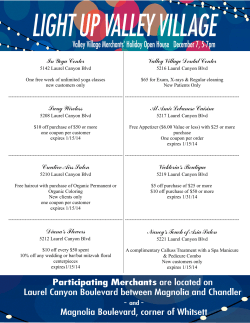 In Yoga Center Swag Wireless Creative Airs Salon Diana`s Flowers