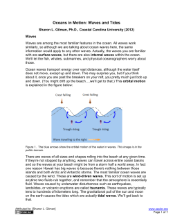 Oceans in Motion: Waves and Tides
