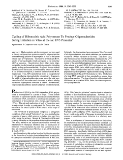 Cycling of Ribonucleic Acid Polymerase To Produce