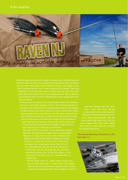The RAVEN NJ, simple, adjutsable and dealy effective