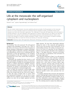 Life at the mesoscale: the self-organised cytoplasm and nucleoplasm