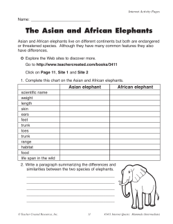 The asian and african Elephants