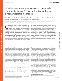 Mitochondrial respiration defects in cancer cells cause activation of