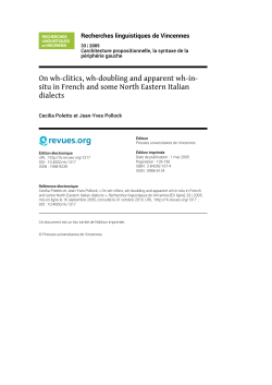 On wh-clitics, wh-doubling and apparent wh-in