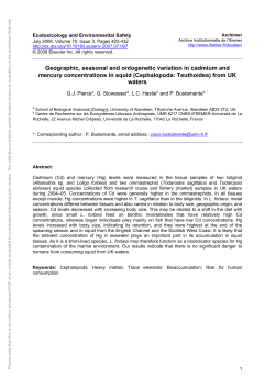 (Cephalopoda: Teuthoidea) from UK