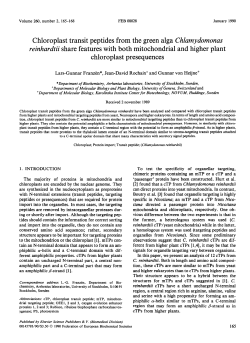 Chloroplast transit peptides from the green alga Chlamydomonas