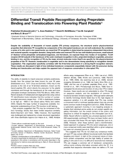 Differential Transit Peptide Recognition during