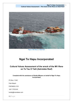 Cultural Values Assessment