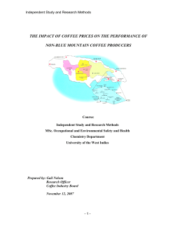 Impact of Prices on Performance of the Non Blue Mountain Coffee