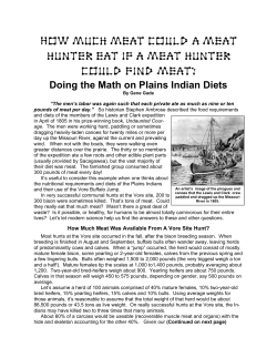 How Much Meat Could a Meat Hunter Eat if a Meat Hunter Could
