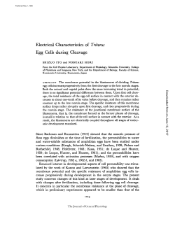 Electrical Characteristics of Triturus Egg Cells during Cleavage
