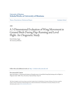 A 3-Dimensional Evaluation of Wing Movement in Ground Birds