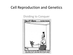 Cell Reproduction and Genetics