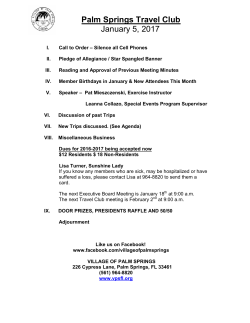 Palm Springs Travel Club - Village of Palm Springs