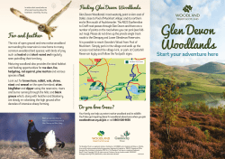 Glen Devon Woodlands