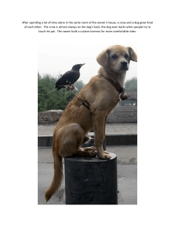 Unusual Friends - Happy Soul Food Friday!