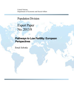 Expert Paper No. 2013/8