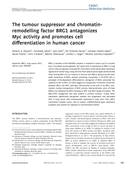 The tumour suppressor and chromatin‐remodelling factor BRG1