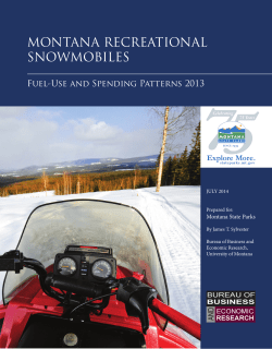 Montana Recreational Snowmobiles - Fuel