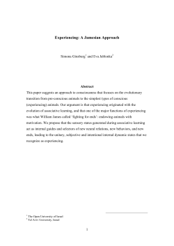 2010 Experiencing-A-Jamesian-Approach