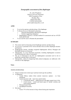Sonographic assessment of the diaphragm