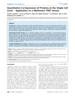 Quantitative Co-Expression of Proteins at the Single Cell Level