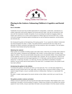 Playing in the Gutters: Enhancing Children`s Cognitive and Social Play