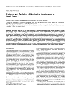 Patterns and Evolution of Nucleotide Landscapes in