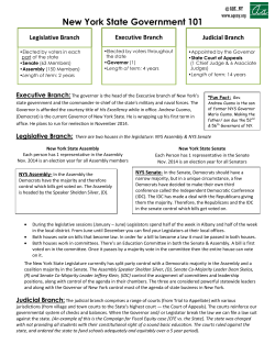 New York State Government 101