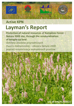 Layman report - European Commission