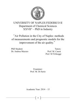 PhD in Industry