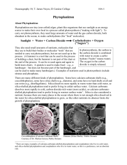 10A R-Phytoplankton Reading