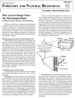 Why Leaves Change Color - Purdue Extension